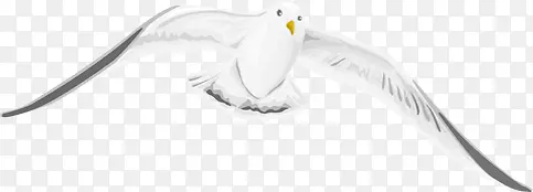 ��ɫ�ɰ��������-������