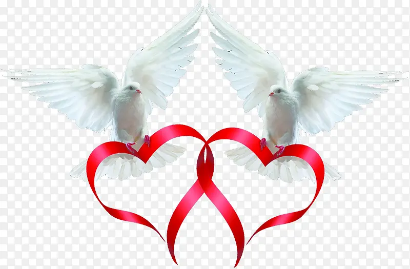 ���Ӱ���˿��-������