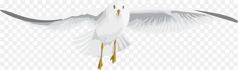 ��ͨ����-������