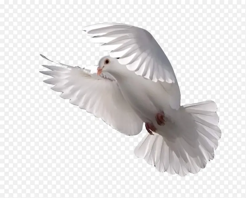 �׸��Ӷ���-������