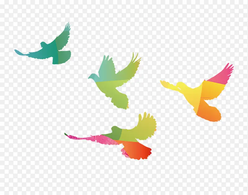 ��ɫ����-������