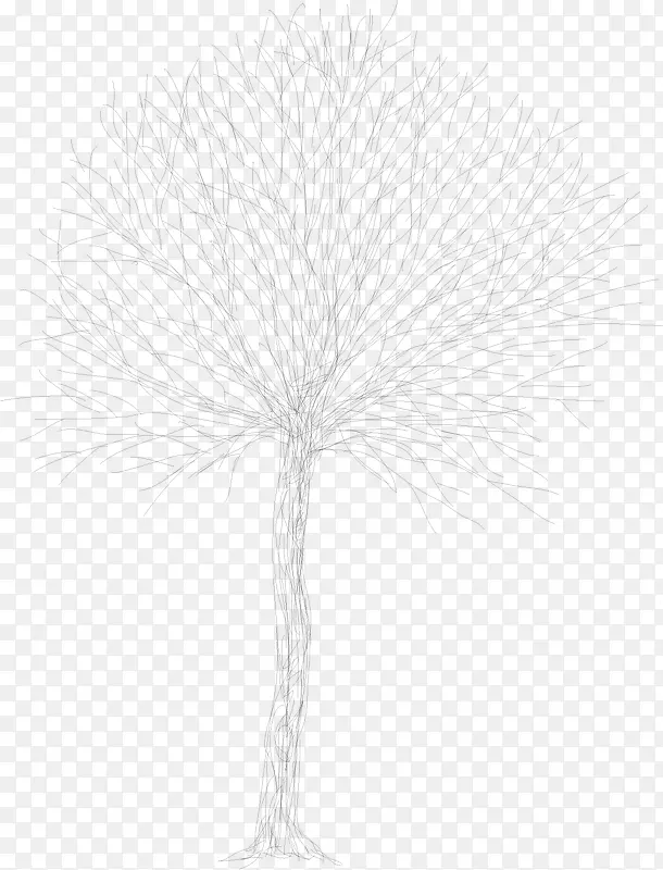 ��ɫ���-������