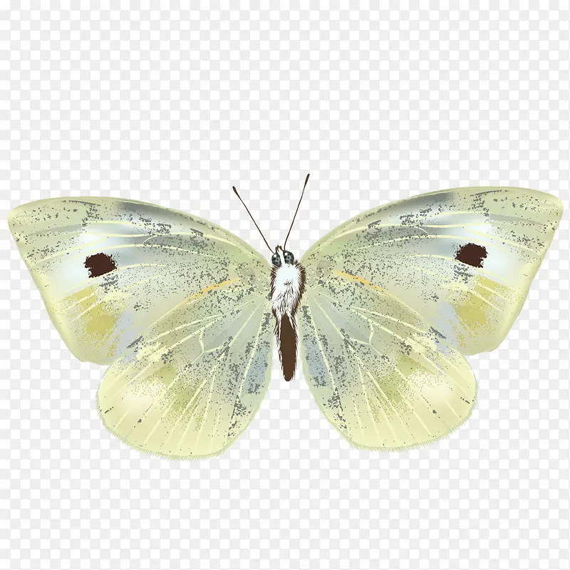 �ֻ����-������