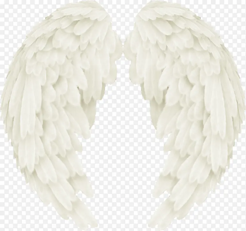 ��ɫ���-������