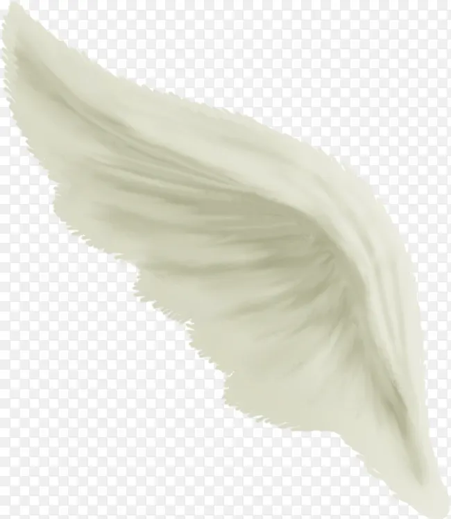 ��ͨ���-������