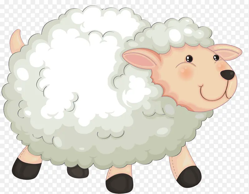 ��ɫ����-������