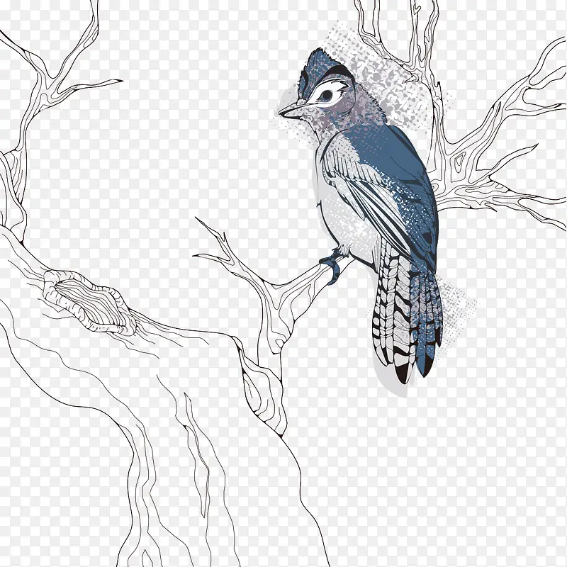 �����ֻ���-������