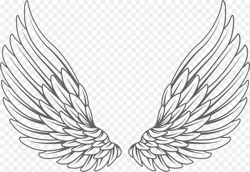 ��ɫ�ֻ�ĳ��-������