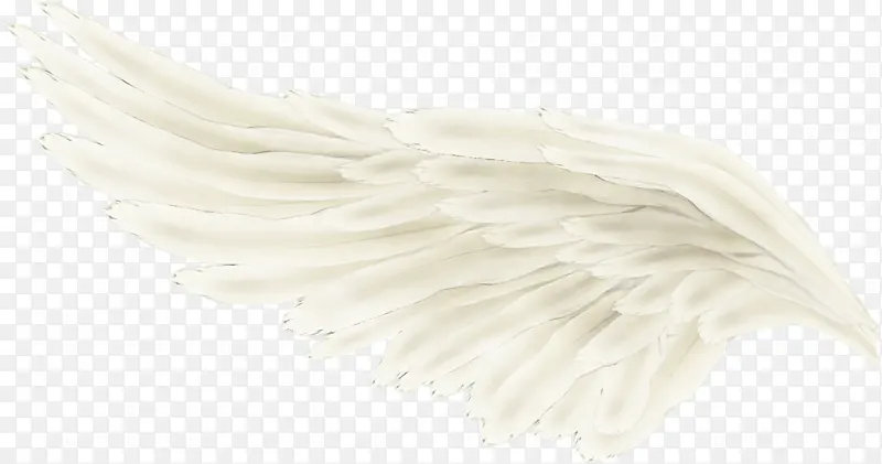 �ֻ���ë���-������