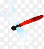 �ֻ��ɫ�ɰ�����-������