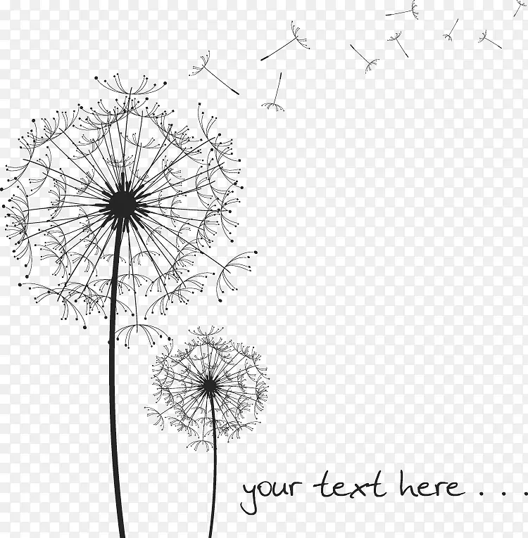 ��ɫ�ѹ�Ӣ-������