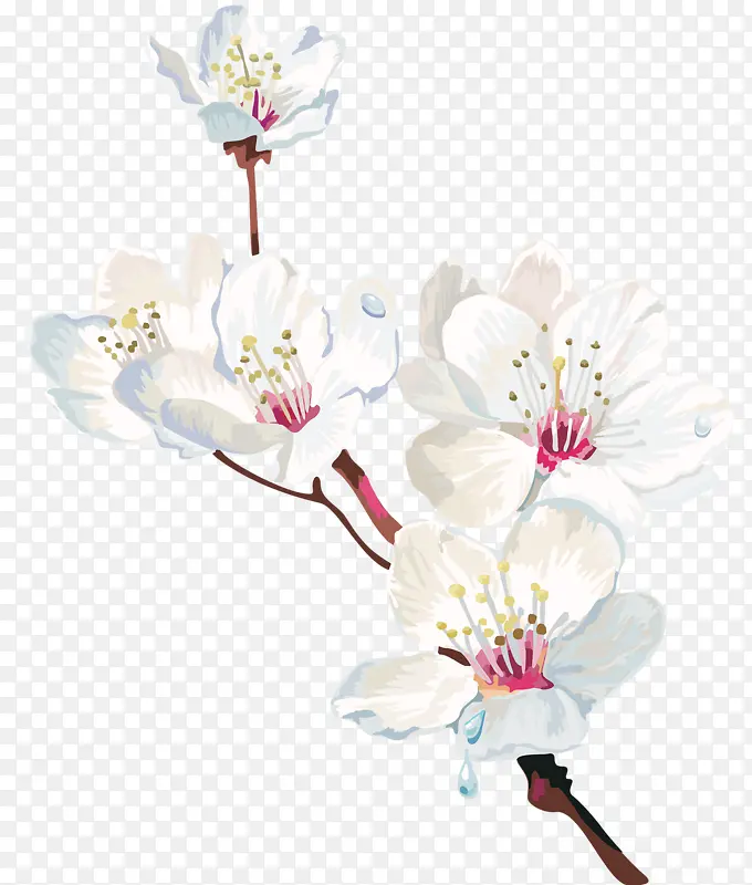 ��ɫ���ӻ�-������