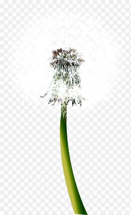 ��ɫ�����ֻ��ѹ�Ӣ-������