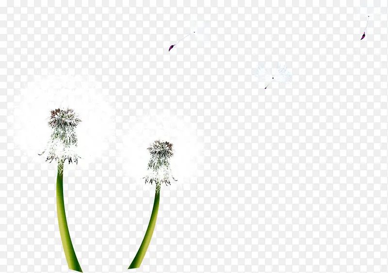 ��ɫ�ѹ�Ӣ�ֻ澰ɫ-������