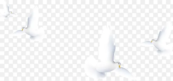 �ֻ��ɫ��ƽ��װ��-������