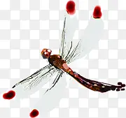 �ֻ��ļ���ɫ����-������