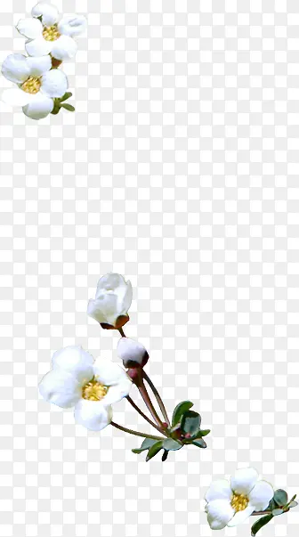 �ֻ��ɫ�һ�ʱ�к���-������