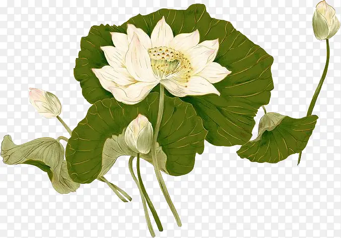 �ֻ洿���ɫ�ɻ�-������