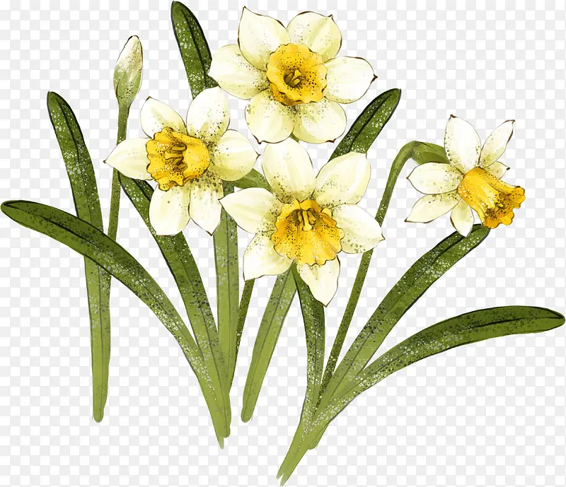 �ֻ��ɫˮ�ɻ���-������