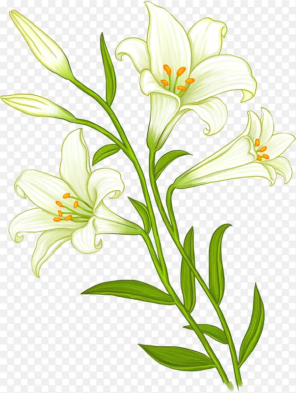 �ֻ��ɫ���°ٺϻ�-������