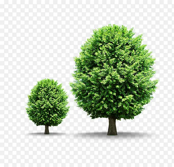 ��ɫ����-������