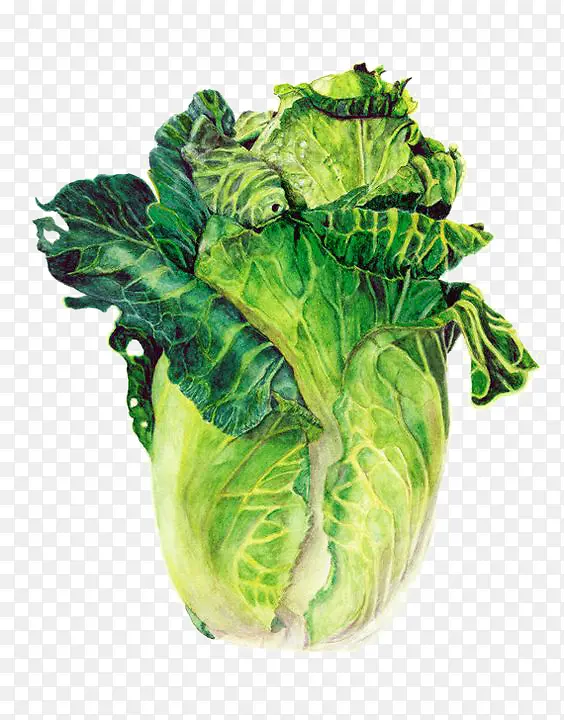 �ֻ��ײ�-������