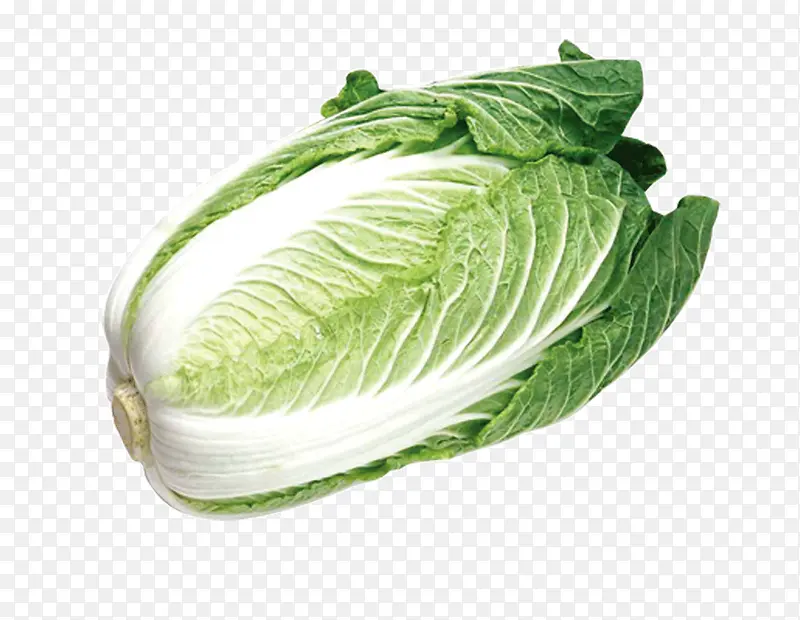 ��ײ�ʳ��-������