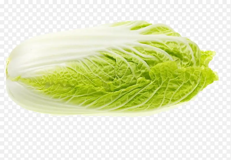 �߲˰ײ�-������