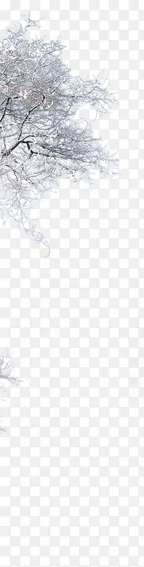 ���ս����������-������