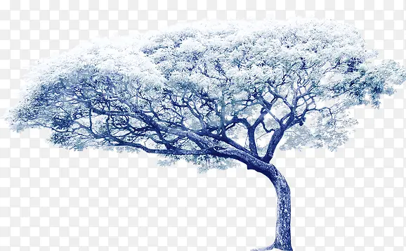 �ֻ��ɫ��������-������