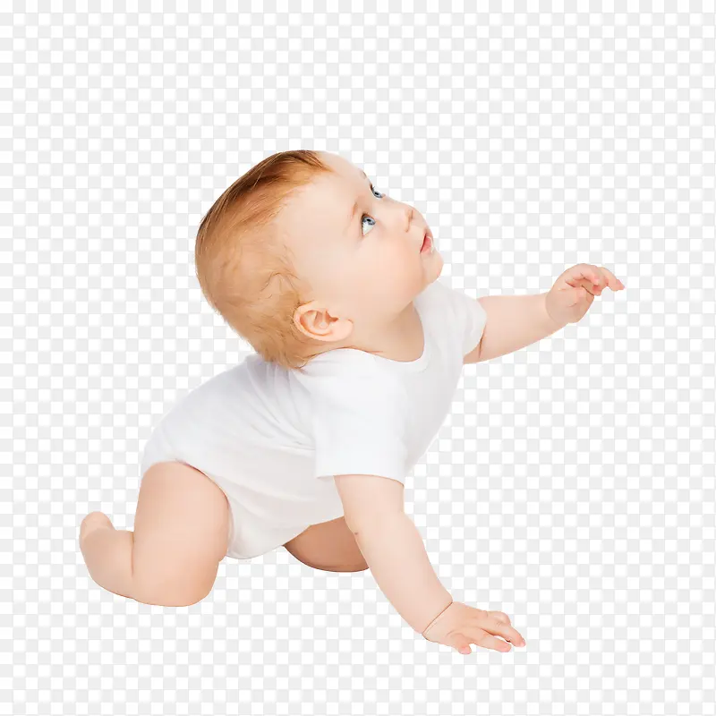 �ɰ������׶�����-������