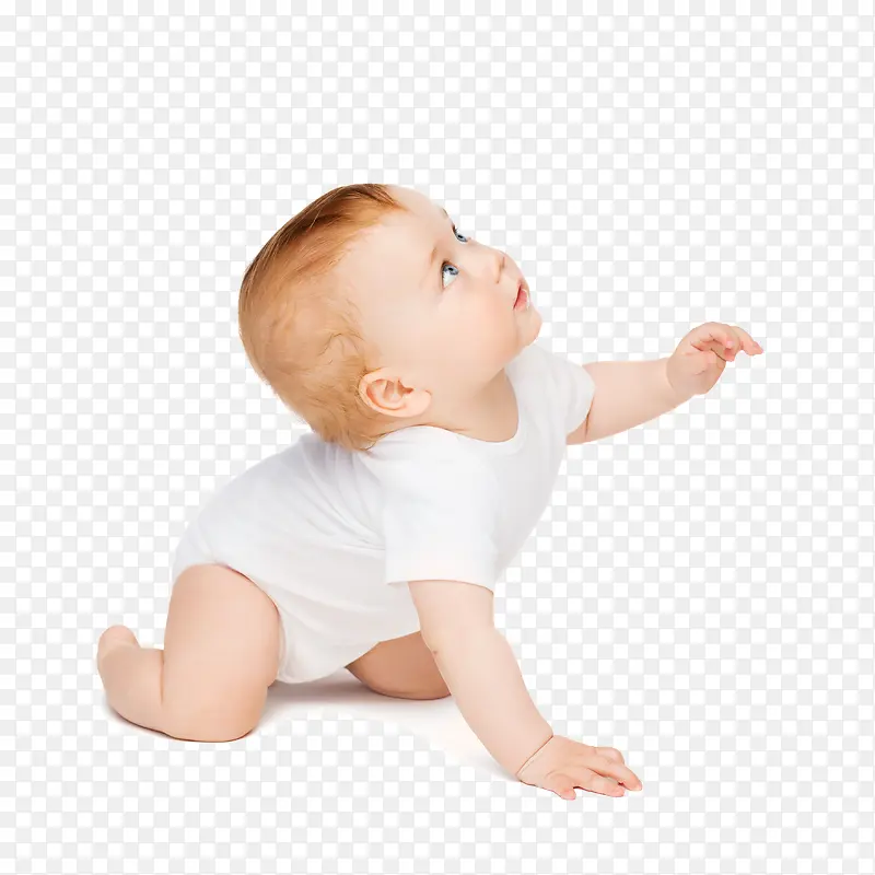 �ɰ������ز�-������