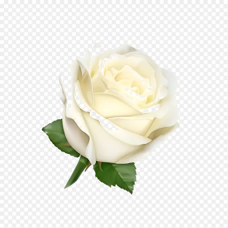 ��ͨ��õ��-������