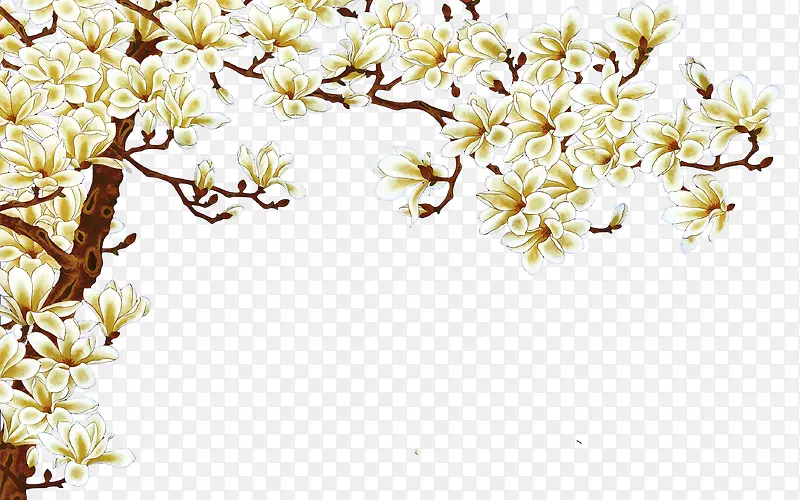 �й��绨��-������