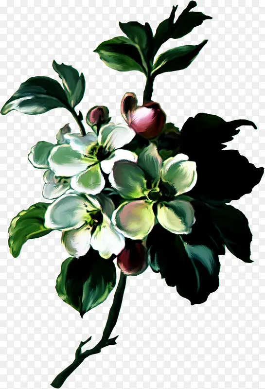 �й��� ˮ�ʻ�  �� ���䱳��Ԫ��-������