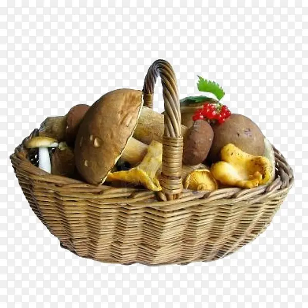 һ�����㹽-������