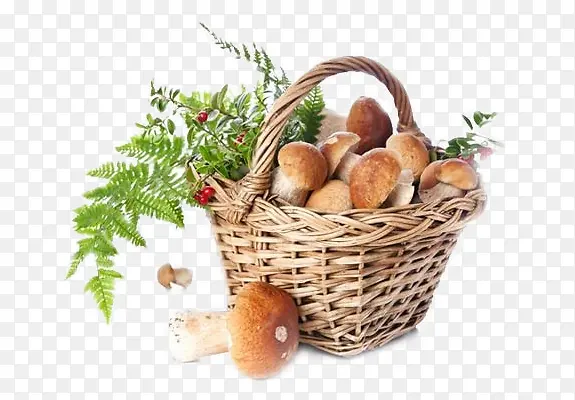 ��Ʒʵ���㹽-������