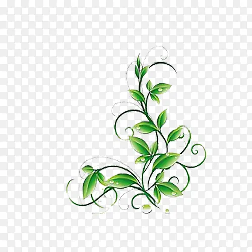 ��ɫҶ�������߿�-������