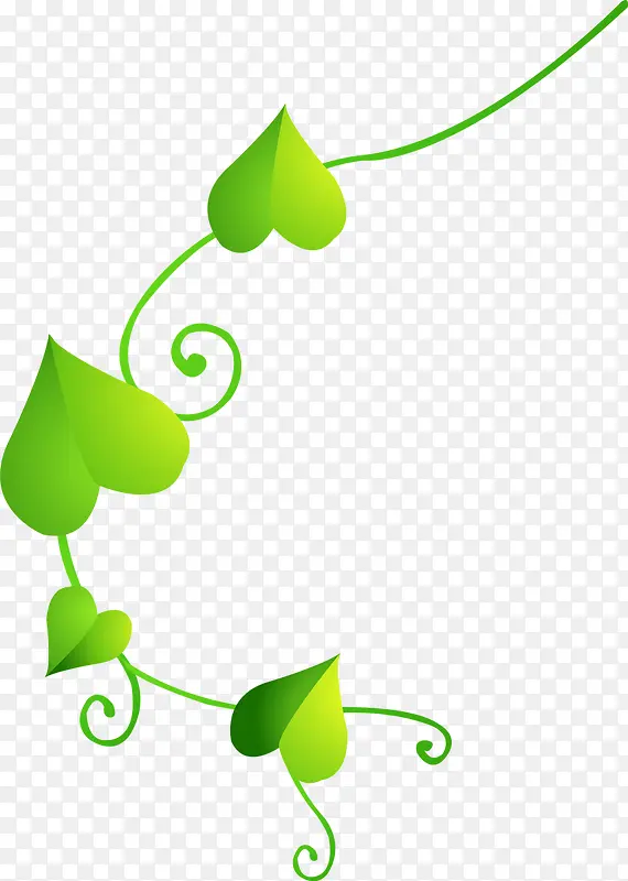 �ָ���ɫ����������Ҷ-������