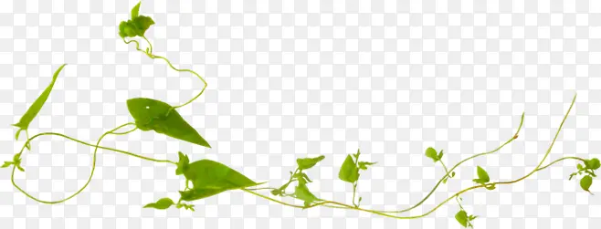 ������Ӱ��ɫ����������-������