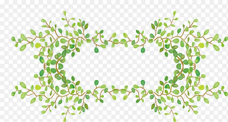 �����߿�-������