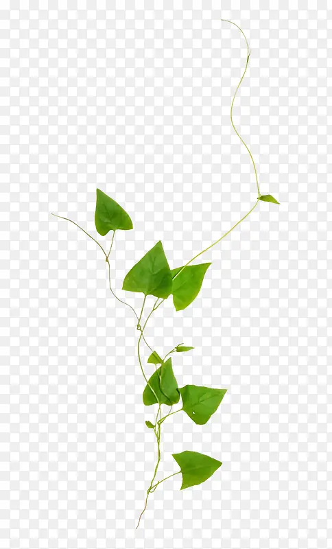 ����-������