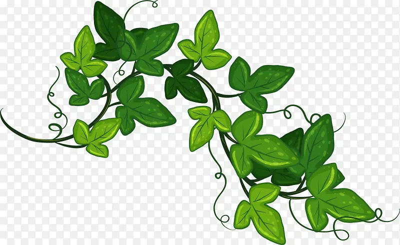 ��ͨ�ֻ���������-������