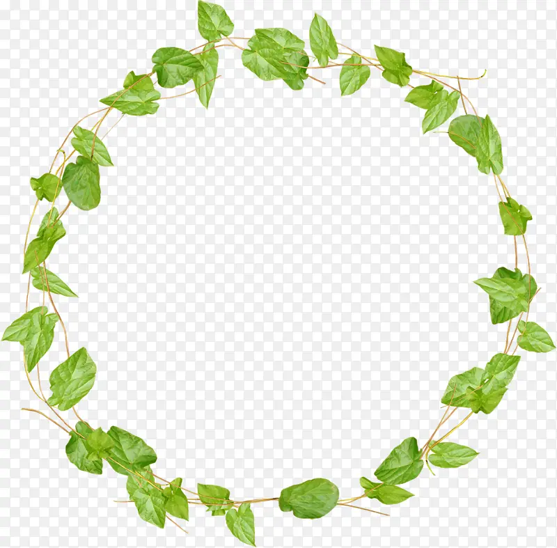 ��ɫҶ������ֲ��߿�-������