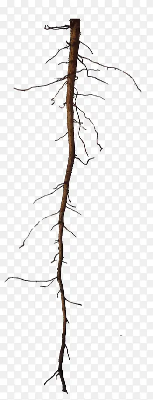 ��֦-������