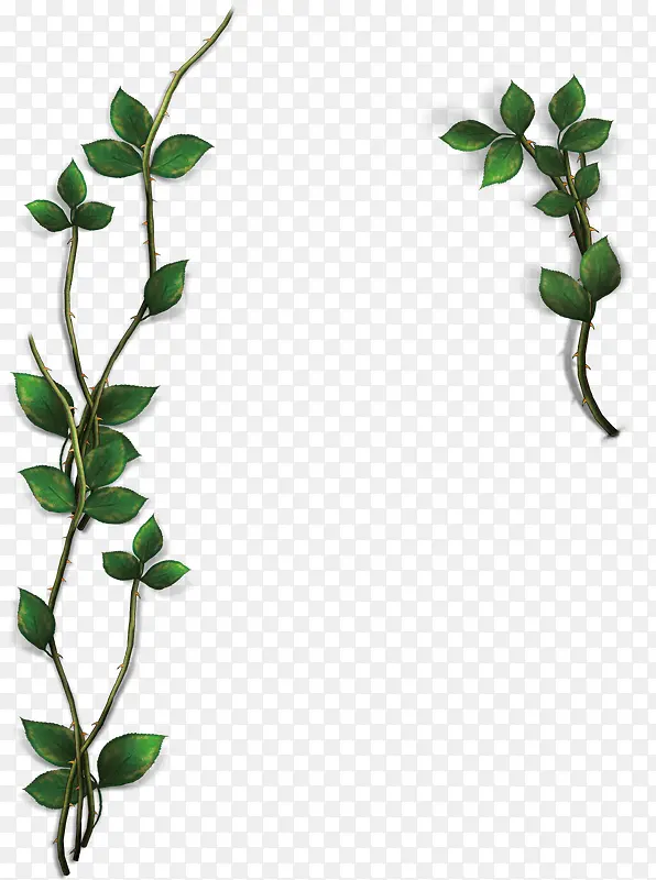 �����߿�-������