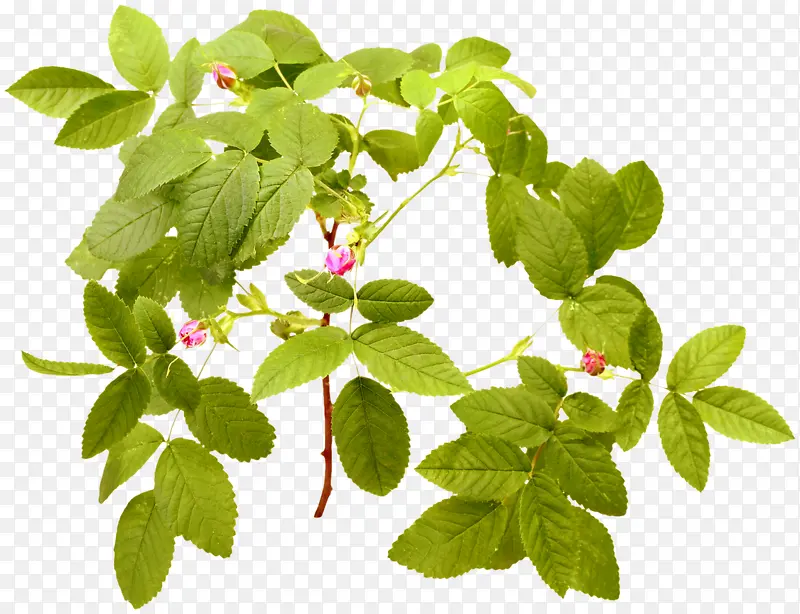 �ٲ�-������