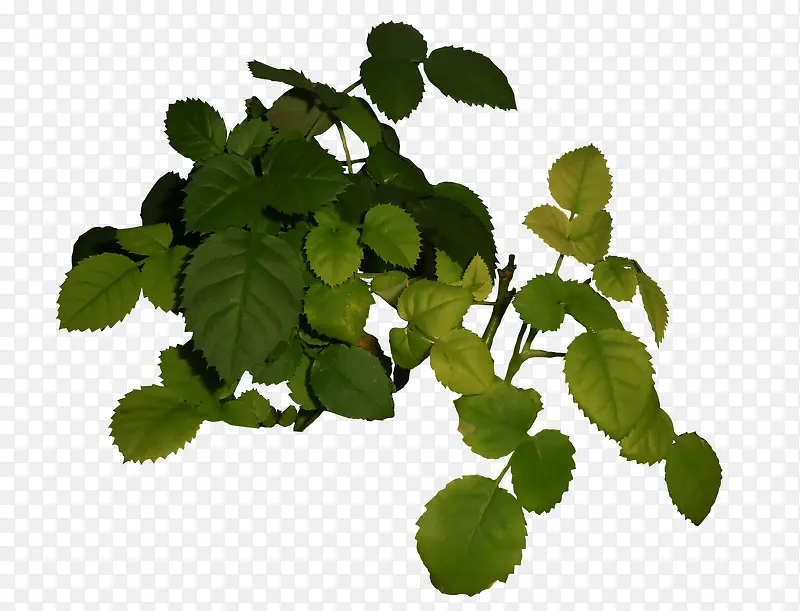 �ٲ�-������