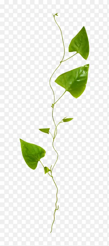 ����-������