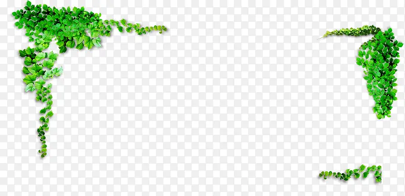 �����߿�-������